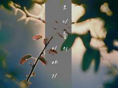 [아오이, 사쿠마, 논CP] 오니들의 이야기