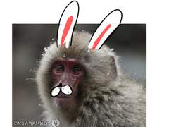 사이퍼즈 코스프레 일일카페 그우쌒 2타임 후기-2