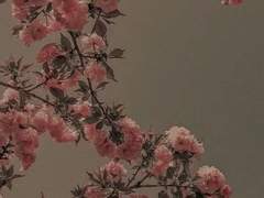 바다는 비에 젖지 않는다.