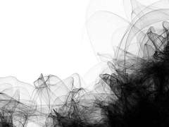 토쿠무라 키스케 男 20