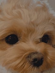 축구선수 망상 연재