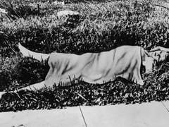 블랙 달리아 사건