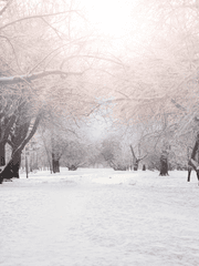 [다자아츠] 살아남은 건 죄가 아니야