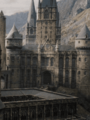 호그와트 바보들이 누군데? 