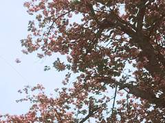 너와 내가 움켜쥐고 있던 것은