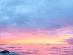 [대만준호] 두 사람의 인터하이