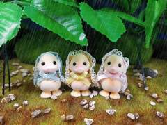 실바니안 패밀리 : 2-2