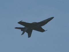 붕어빵이 다 식어도