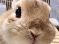 사장님 저랑 결혼해주세요🥺