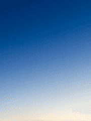 제이팝과 미스 추