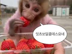 ~ 택배깡 후기 ~