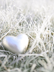 귀엽다는 말 하지마!