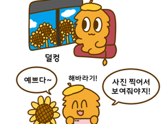 2. 해바라기를 보여줘봤다