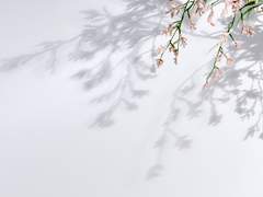 반대과정이론 #01