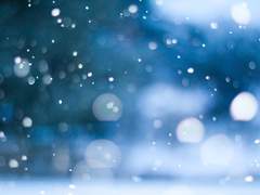 시나리오 집필 커미션