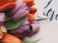 [명헌우성명헌] 사랑한다고 해줘! 01