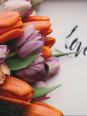 사랑한다고 해줘!