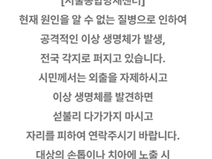 병상과 격리의 3일