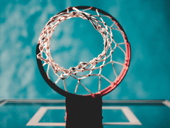 (호열백호)5월의 벚꽃_1