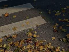 미안해 널 미워해