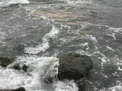 [우성명헌우성] 삽질