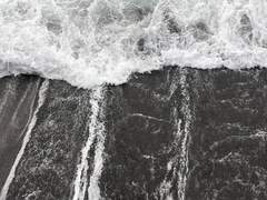 [수겸현준] 여우사냥