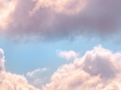 [백호열ts] 홍일점의 역할