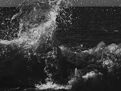 파도로 태어나 거품으로 죽는 것은