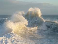 <키프로스>를 마치며