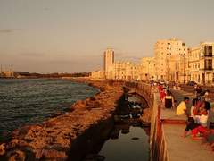 <슈가 스위트 시가>를 마치며