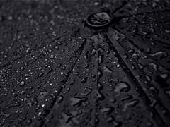 초기 우당탕탕 기록