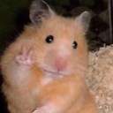 유니콘 기다리는 중