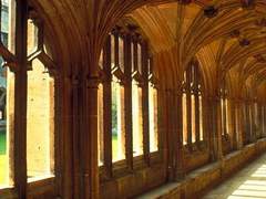 𝑯𝒖𝒇𝒇𝒍𝒆𝒑𝒖𝒇𝒇, 𝒕𝒉𝒆 𝒑𝒖𝒎𝒑𝒌𝒊𝒏 𝒑𝒊𝒆