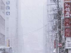 [양호열] 삼류三流