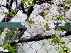 D+30 벌써 한 달이 되었다고 하네요?!