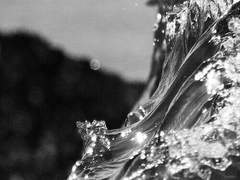 빛바랜 나무의 재