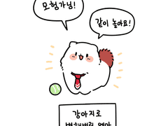 위험하지 않아요 강아지 NPC씨