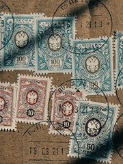 Letters from the lakeshore