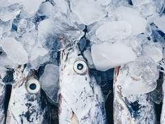 피와 살과 호흡(1)