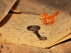 그저 햇빛이 눈부셔서