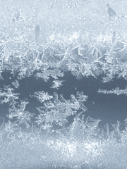 설원[전독시 x 내스급]