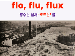 flo, flu, flux