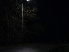 [GL] 주의 대리인 23