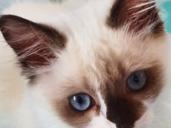 가온이, 첫 만남