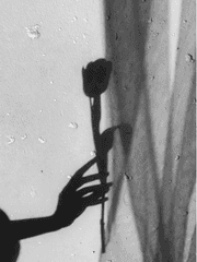 어느날 친구가 이상해졌다