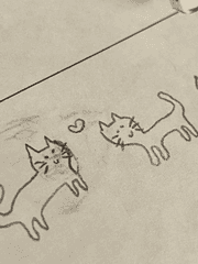 내가 보고 싶은 거