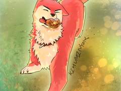 강아지의 날 백호