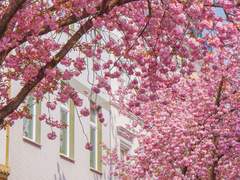 당신의 3월은 어떤가요.