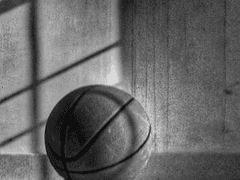 드림으로 시작해서 안티로 끝나는 이야기