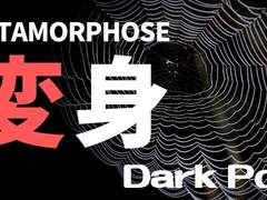 변신 / 니시지마 손다이